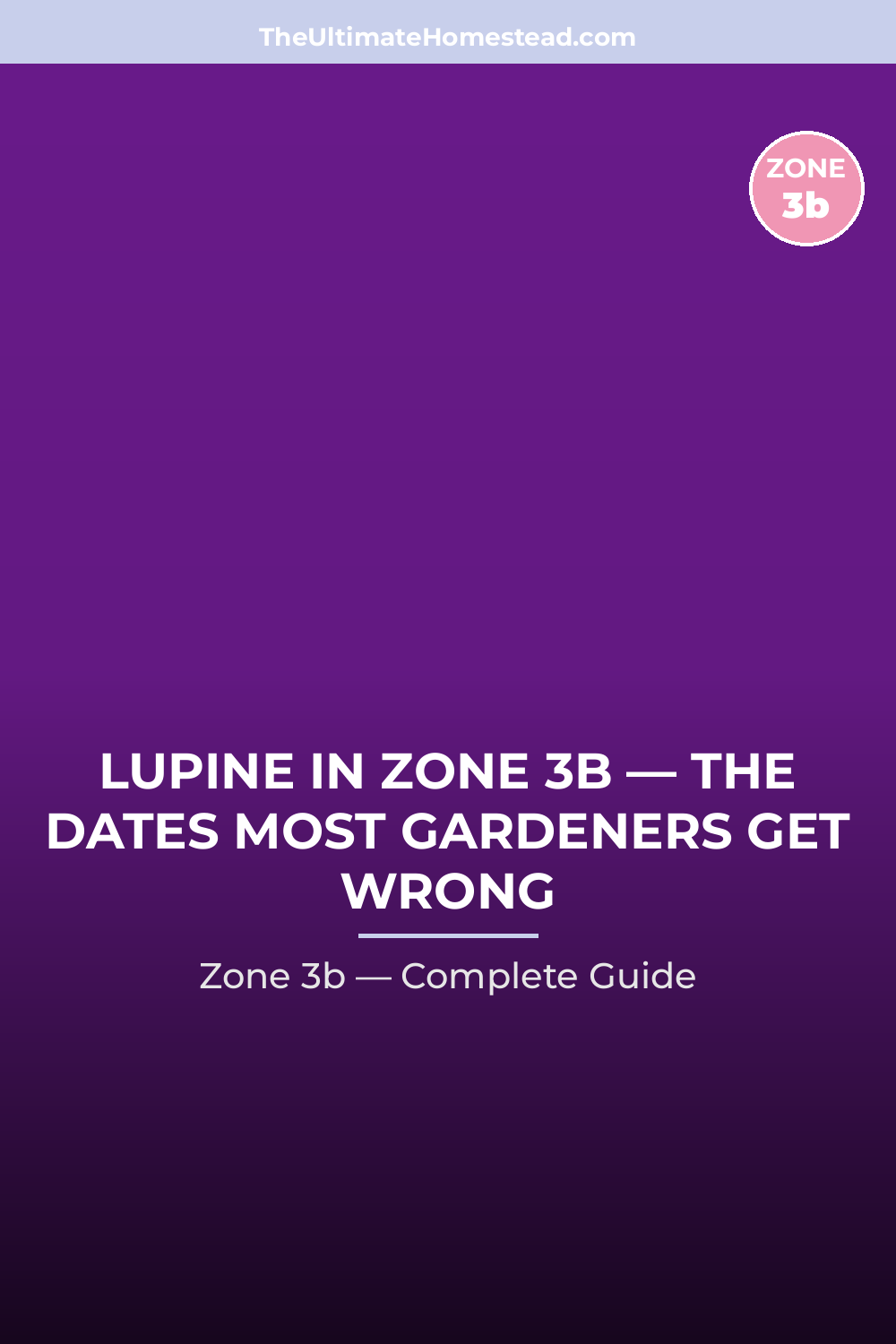 When to Plant Lupine in Zone 3b