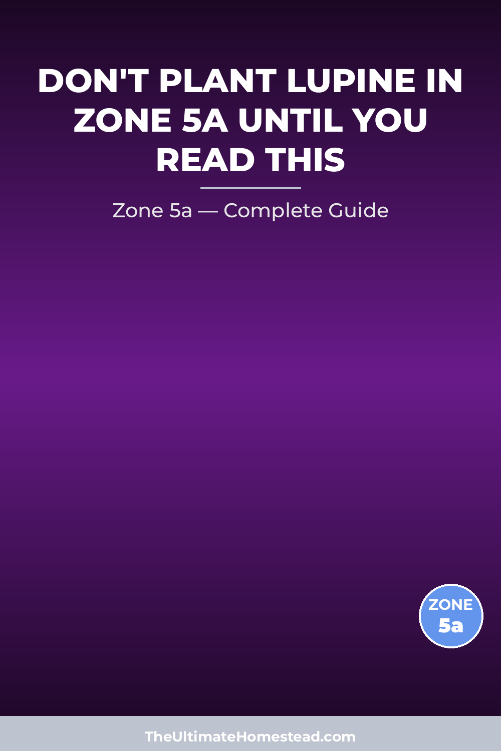 When to Plant Lupine in Zone 5a