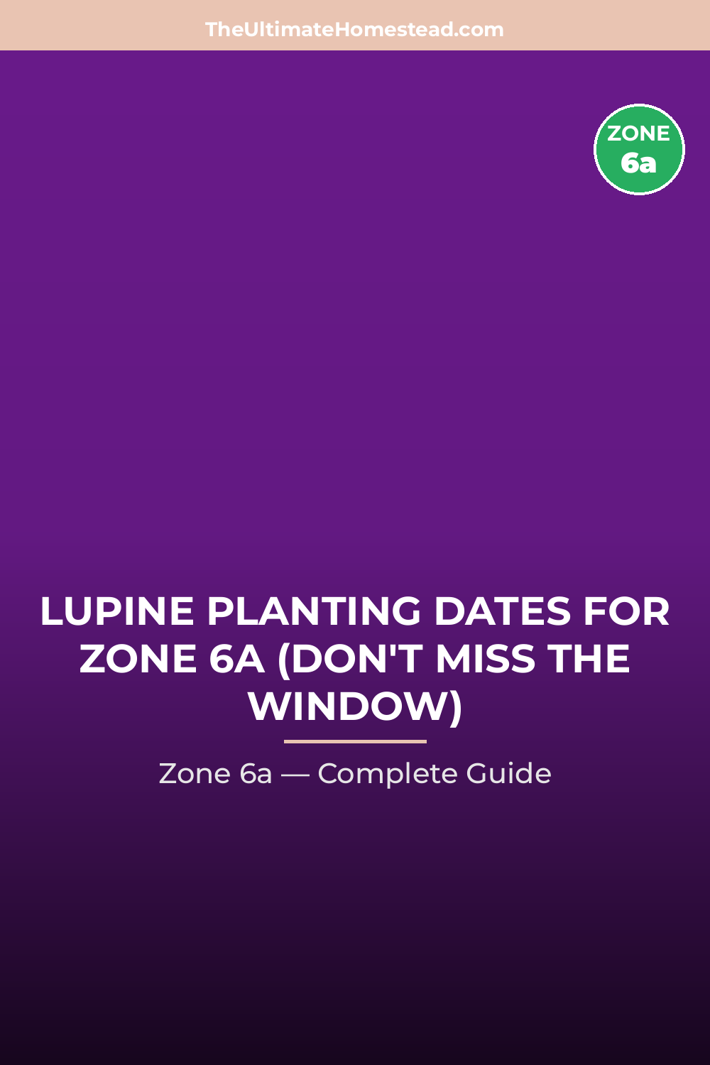 When to Plant Lupine in Zone 6a