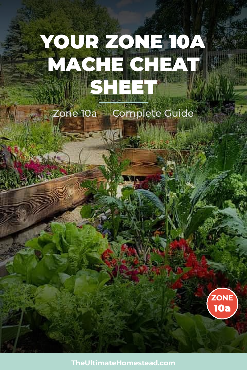 When to Plant Mache in Zone 10a