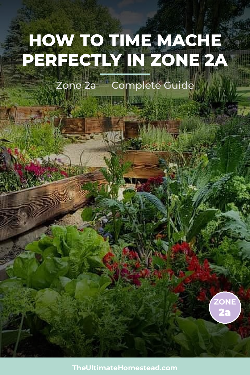 When to Plant Mache in Zone 2a