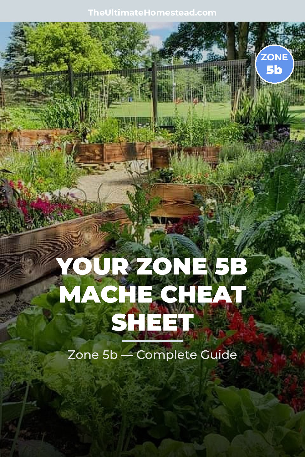 When to Plant Mache in Zone 5b