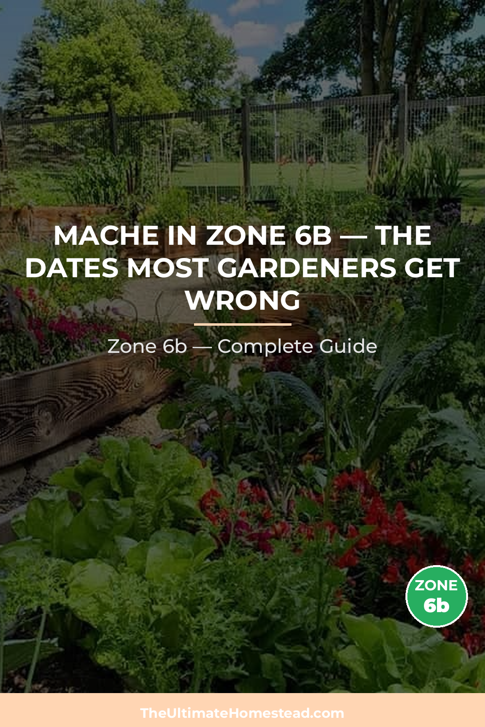 When to Plant Mache in Zone 6b