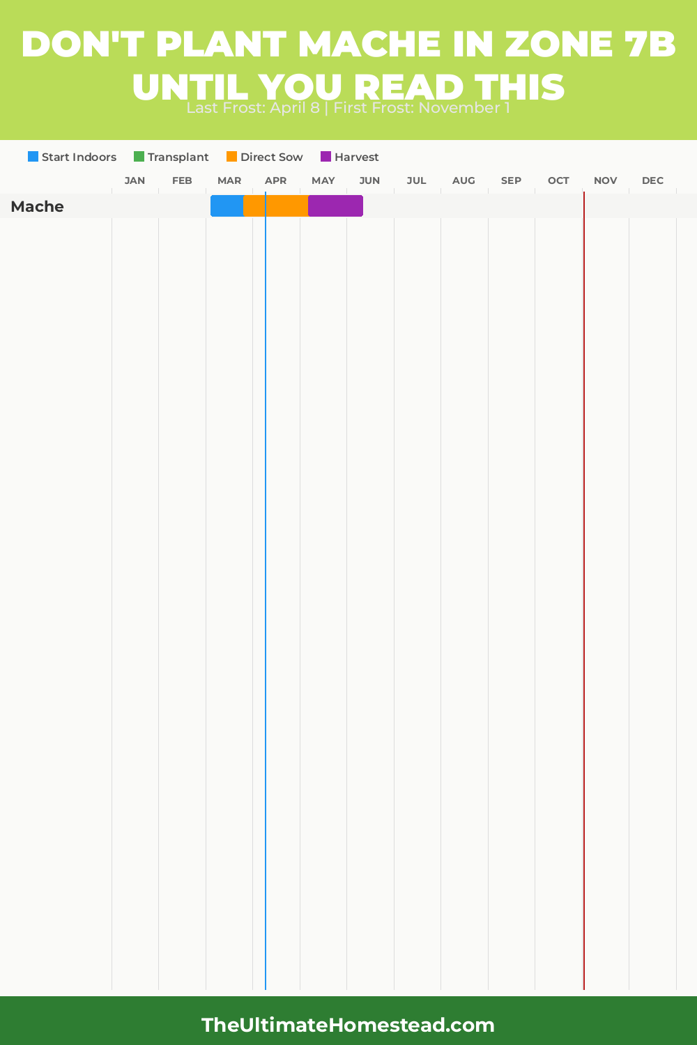 When to Plant Mache in Zone 7b