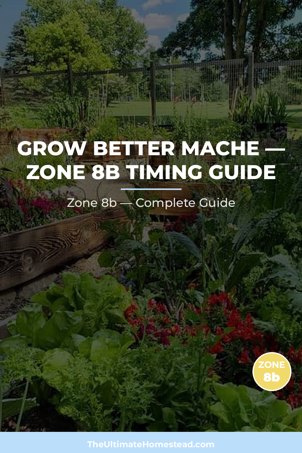 When to Plant Mache in Zone 8b