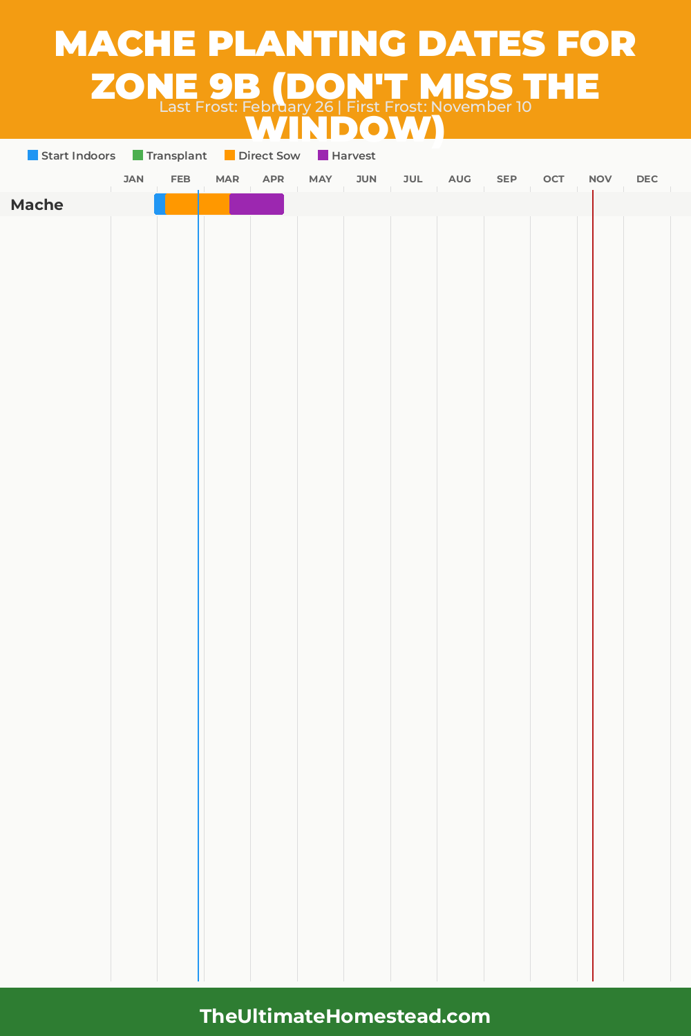 When to Plant Mache in Zone 9b