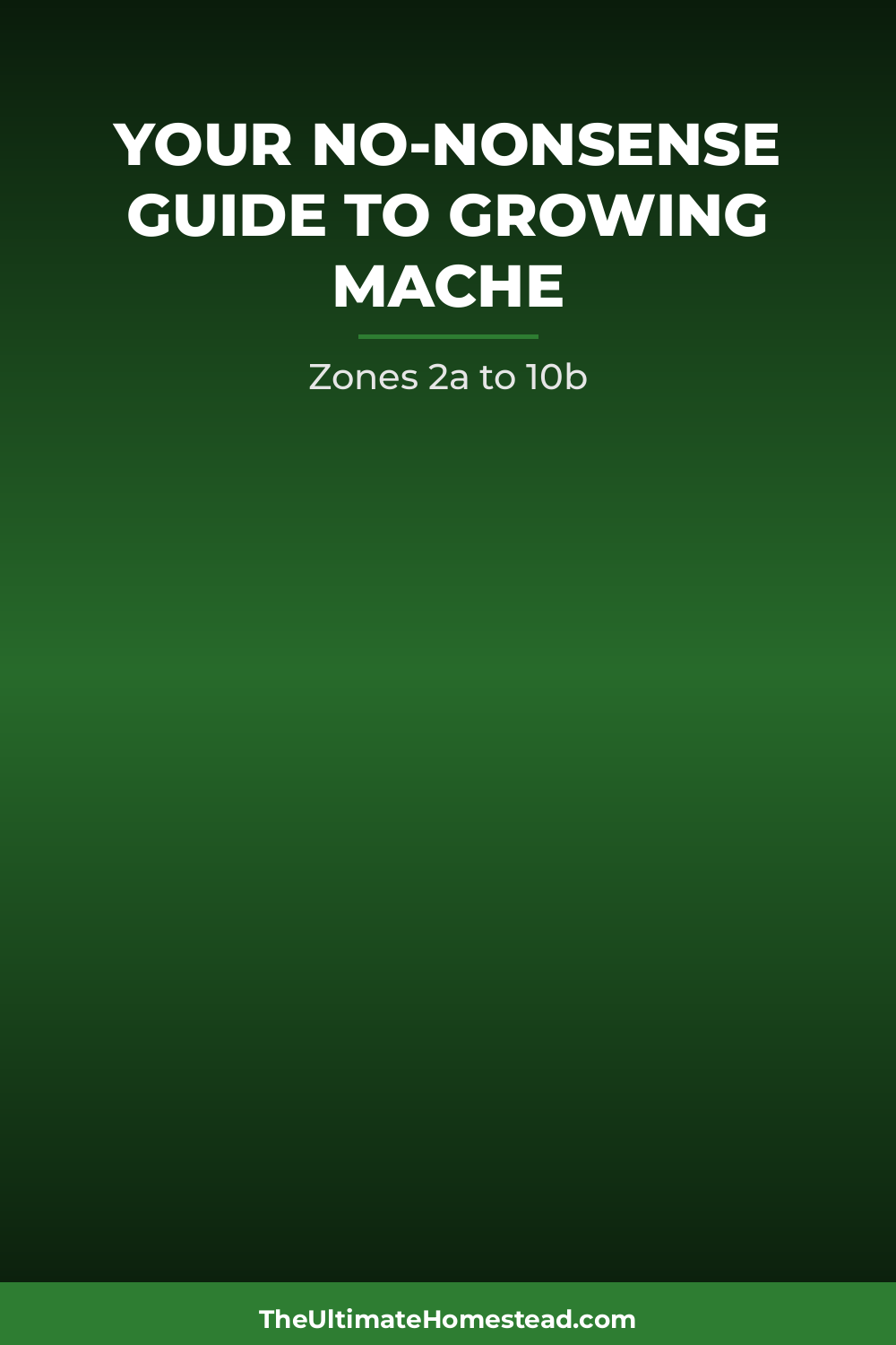 Mache Planting Guide