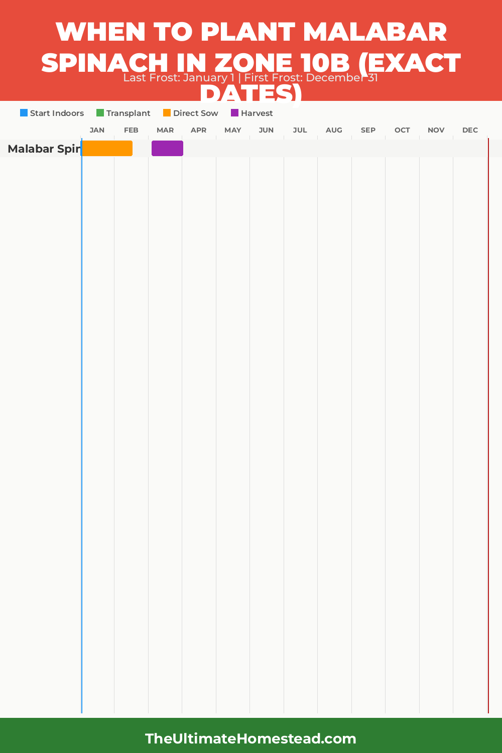When to Plant Malabar Spinach in Zone 10b