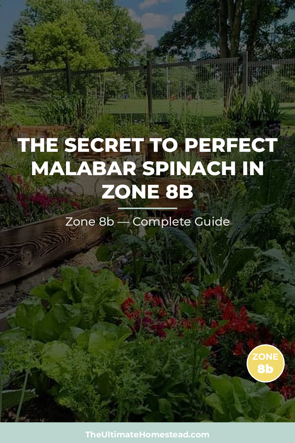 When to Plant Malabar Spinach in Zone 8b