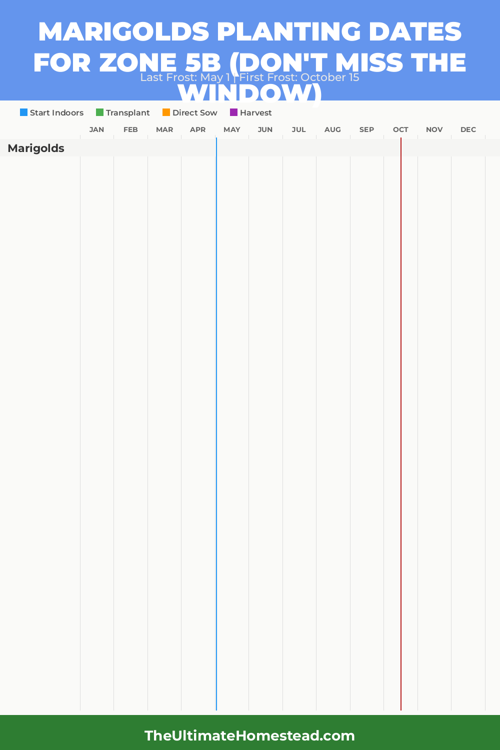 When to Plant Marigolds in Zone 5b