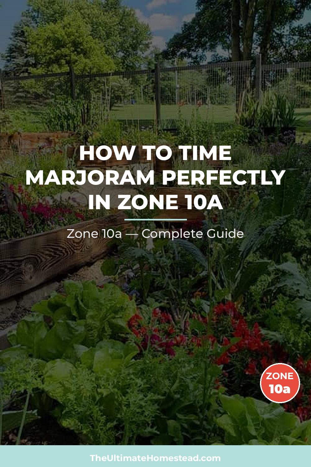 When to Plant Marjoram in Zone 10a