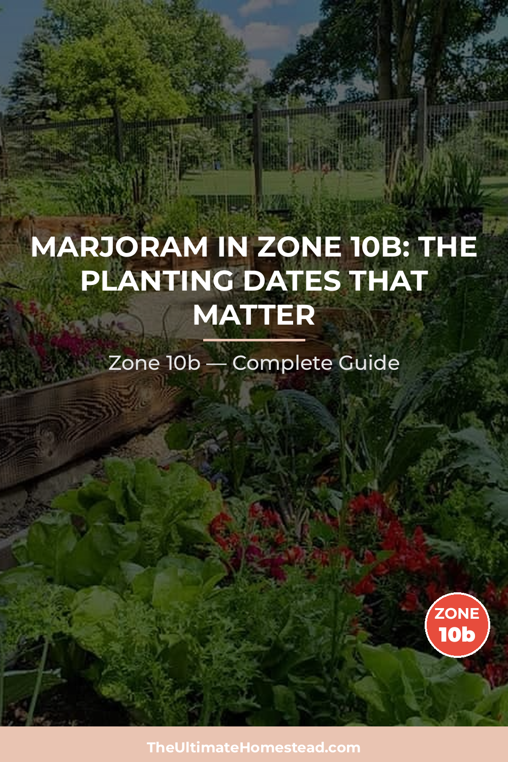 When to Plant Marjoram in Zone 10b