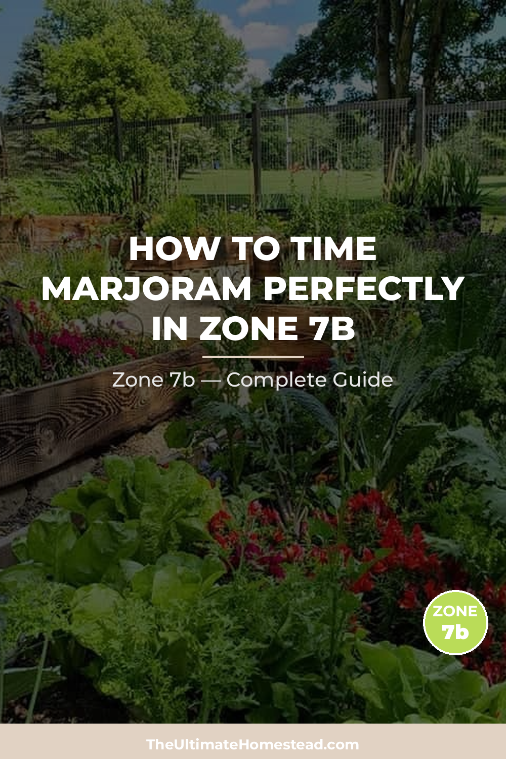 When to Plant Marjoram in Zone 7b