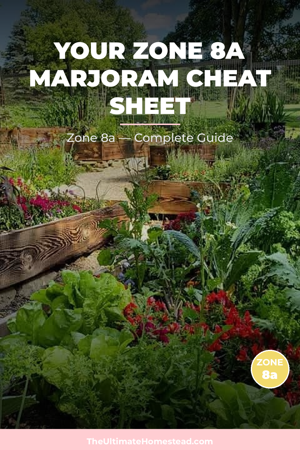 When to Plant Marjoram in Zone 8a