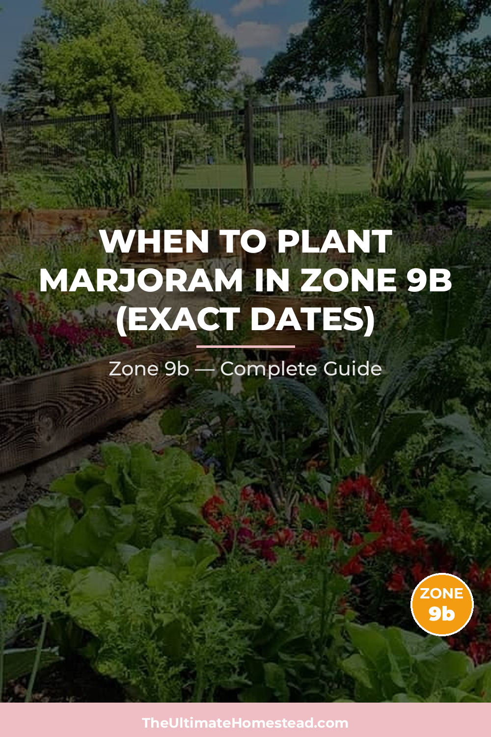 When to Plant Marjoram in Zone 9b