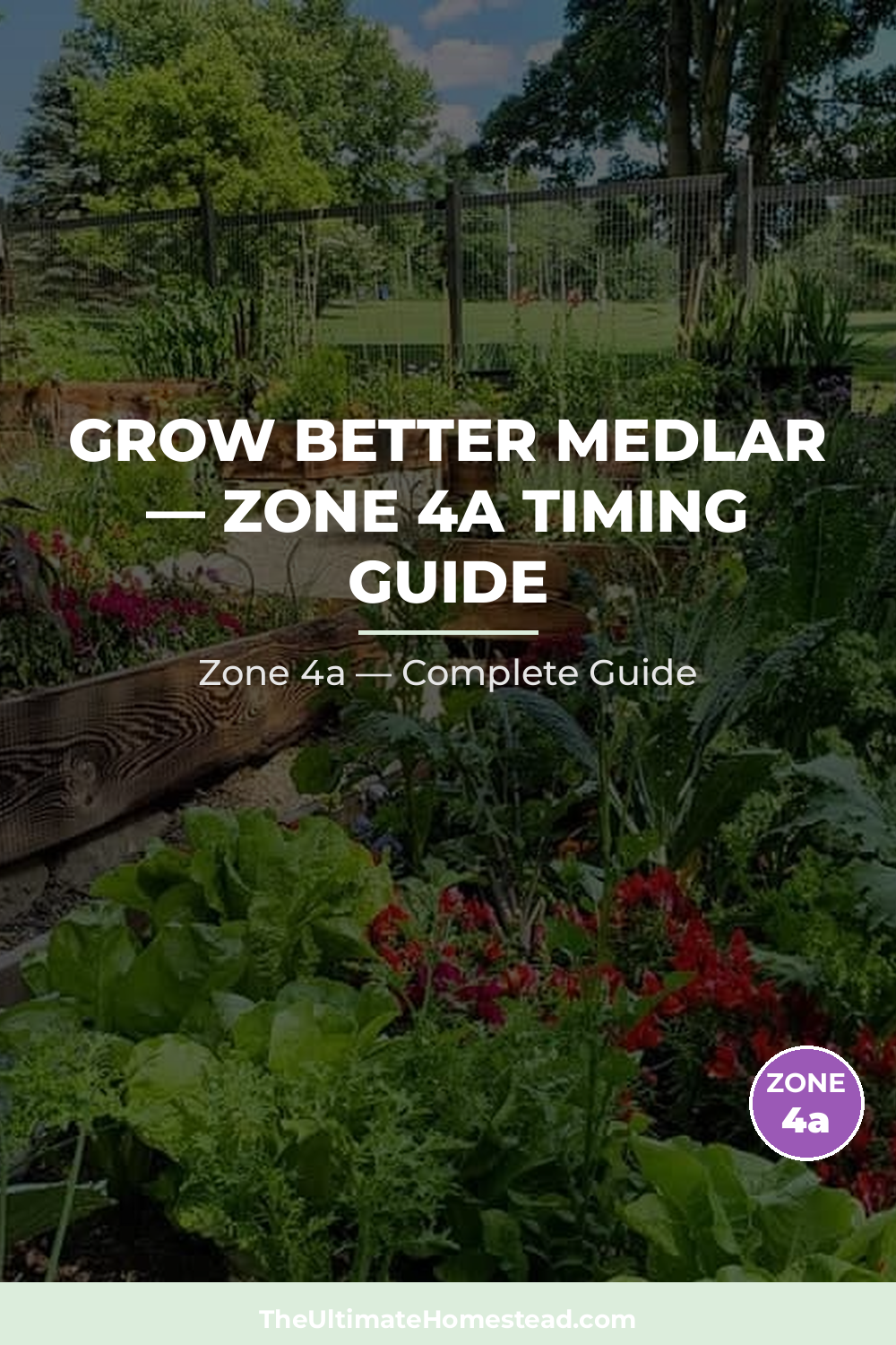 When to Plant Medlar in Zone 4a