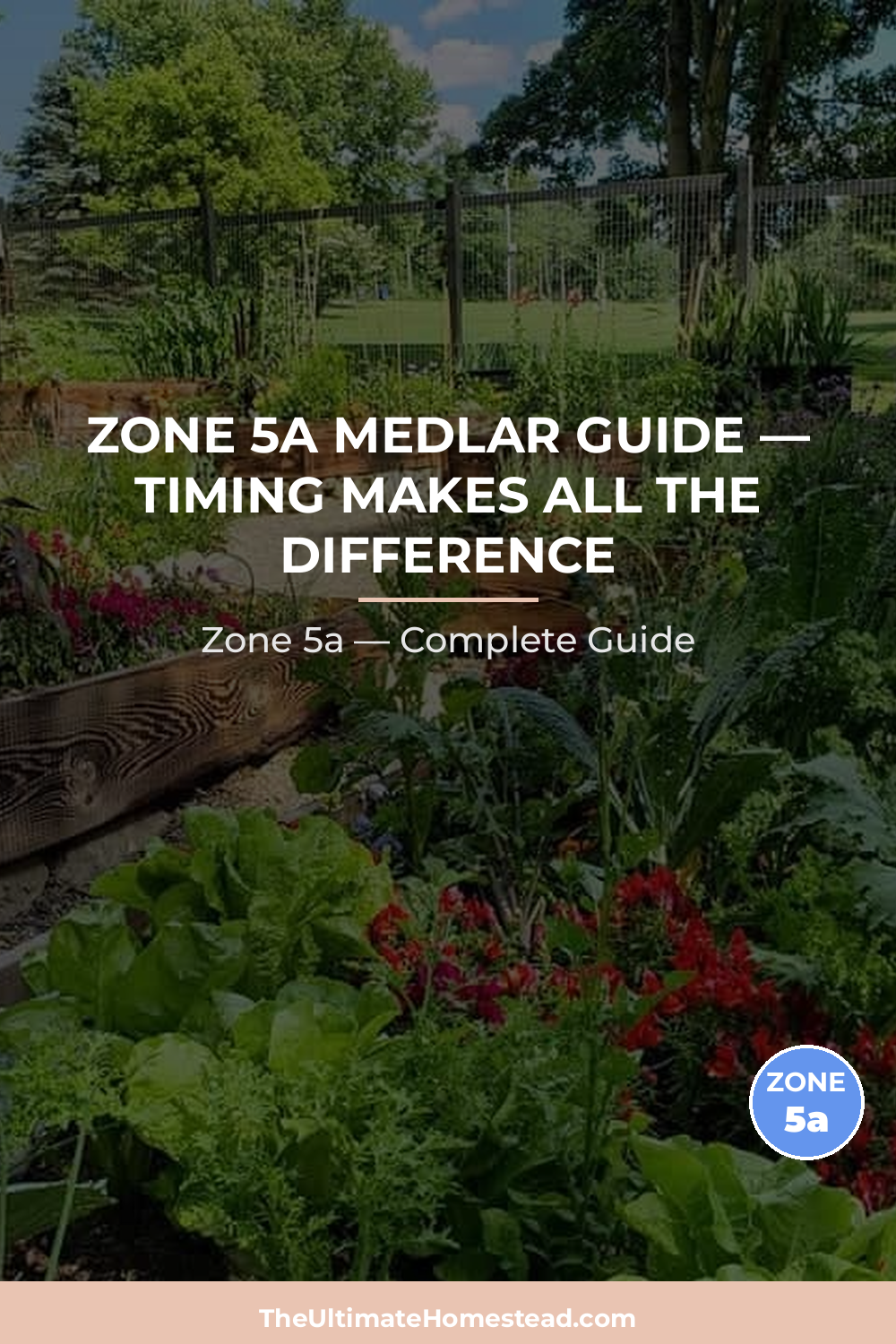 When to Plant Medlar in Zone 5a