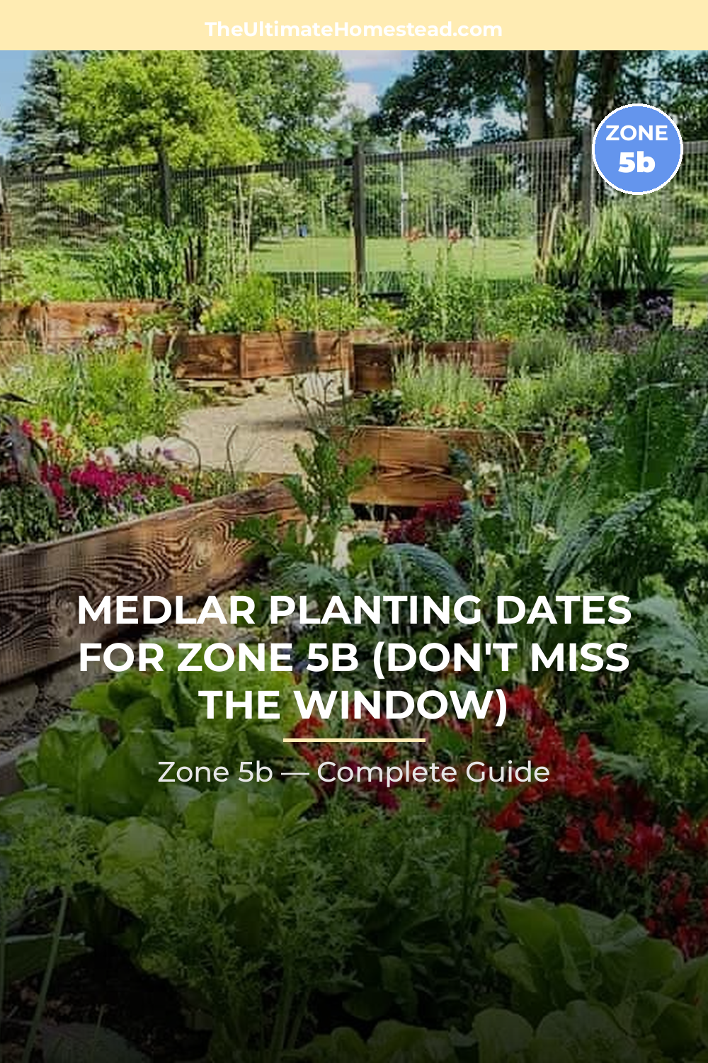 When to Plant Medlar in Zone 5b