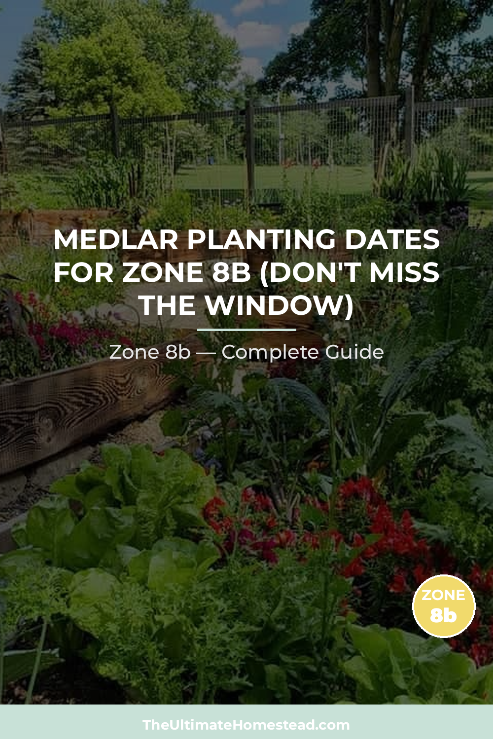 When to Plant Medlar in Zone 8b