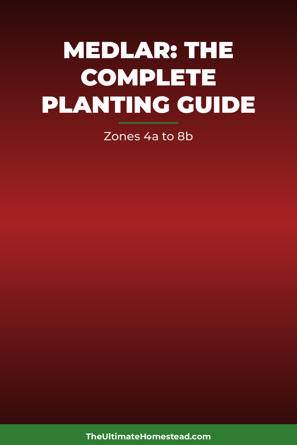 Medlar Planting Guide