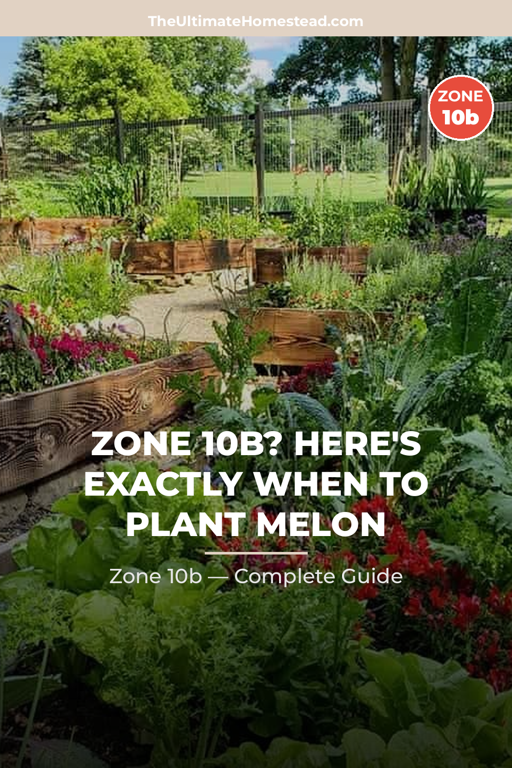 When to Plant Melon in Zone 10b