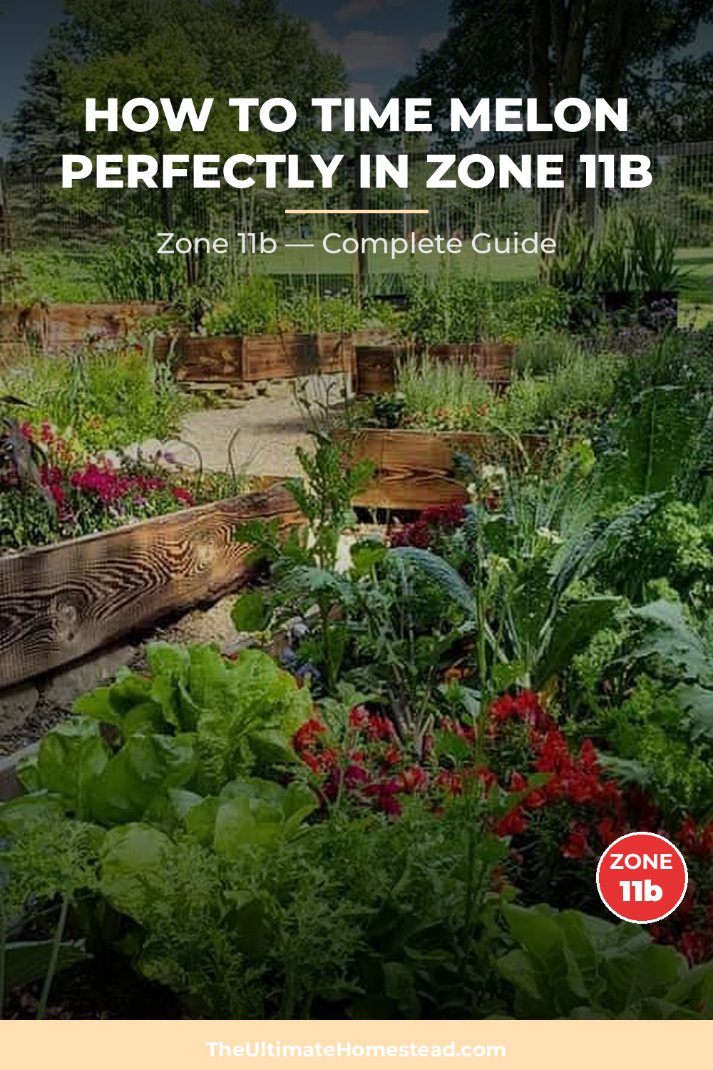 When to Plant Melon in Zone 11b