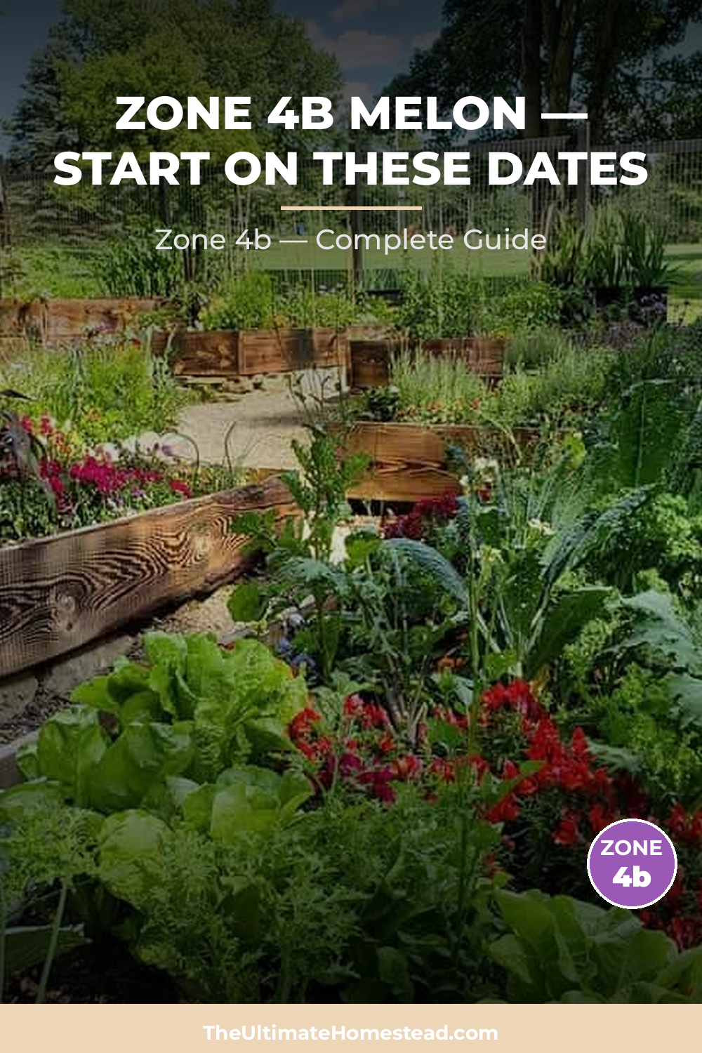 When to Plant Melon in Zone 4b