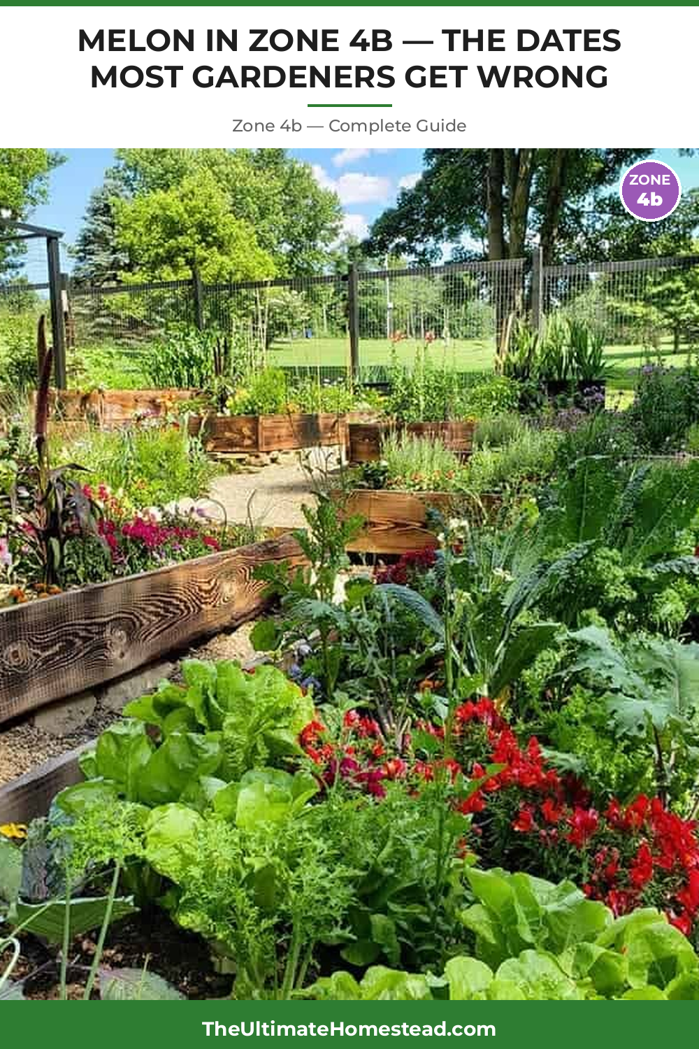 When to Plant Melon in Zone 4b