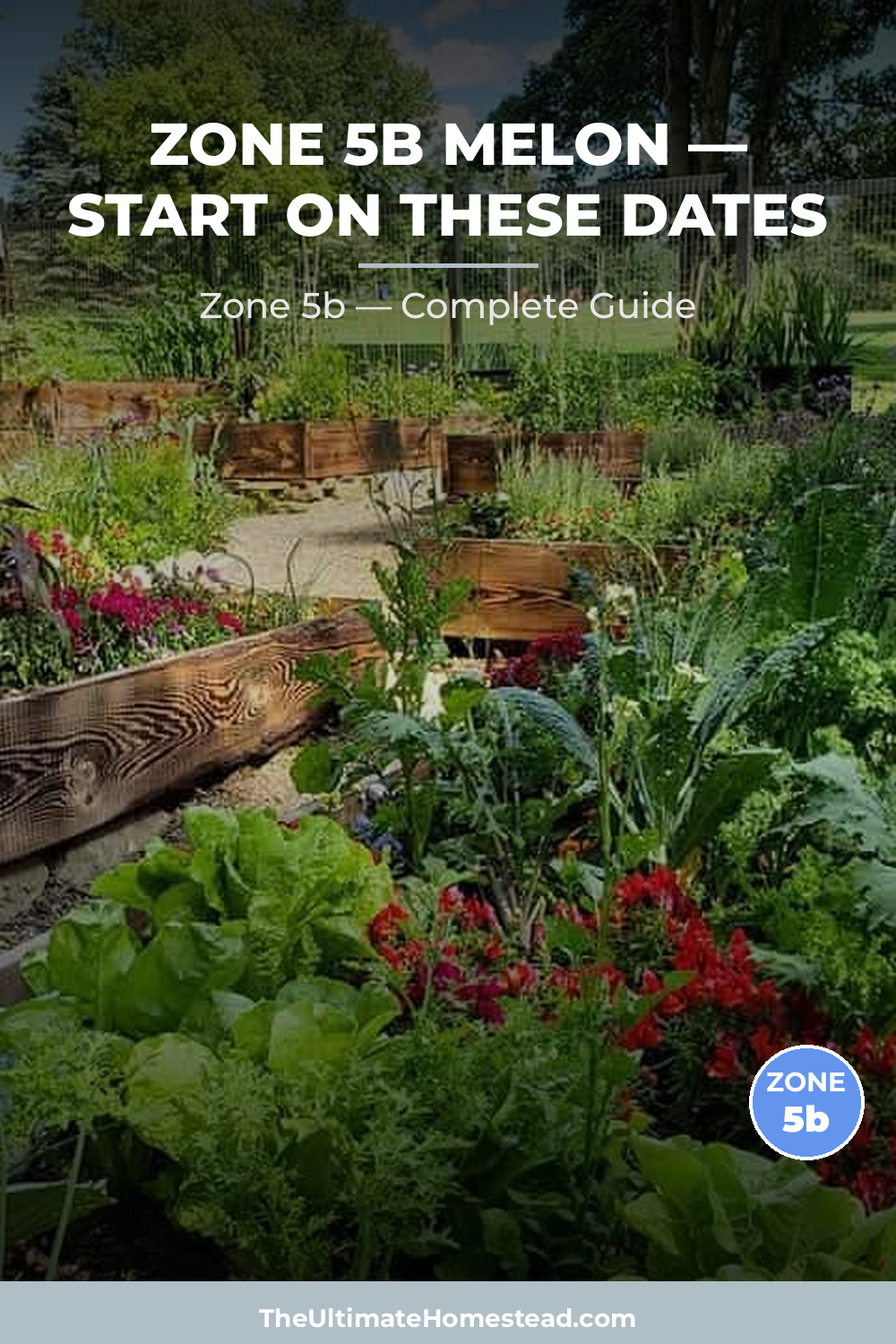 When to Plant Melon in Zone 5b