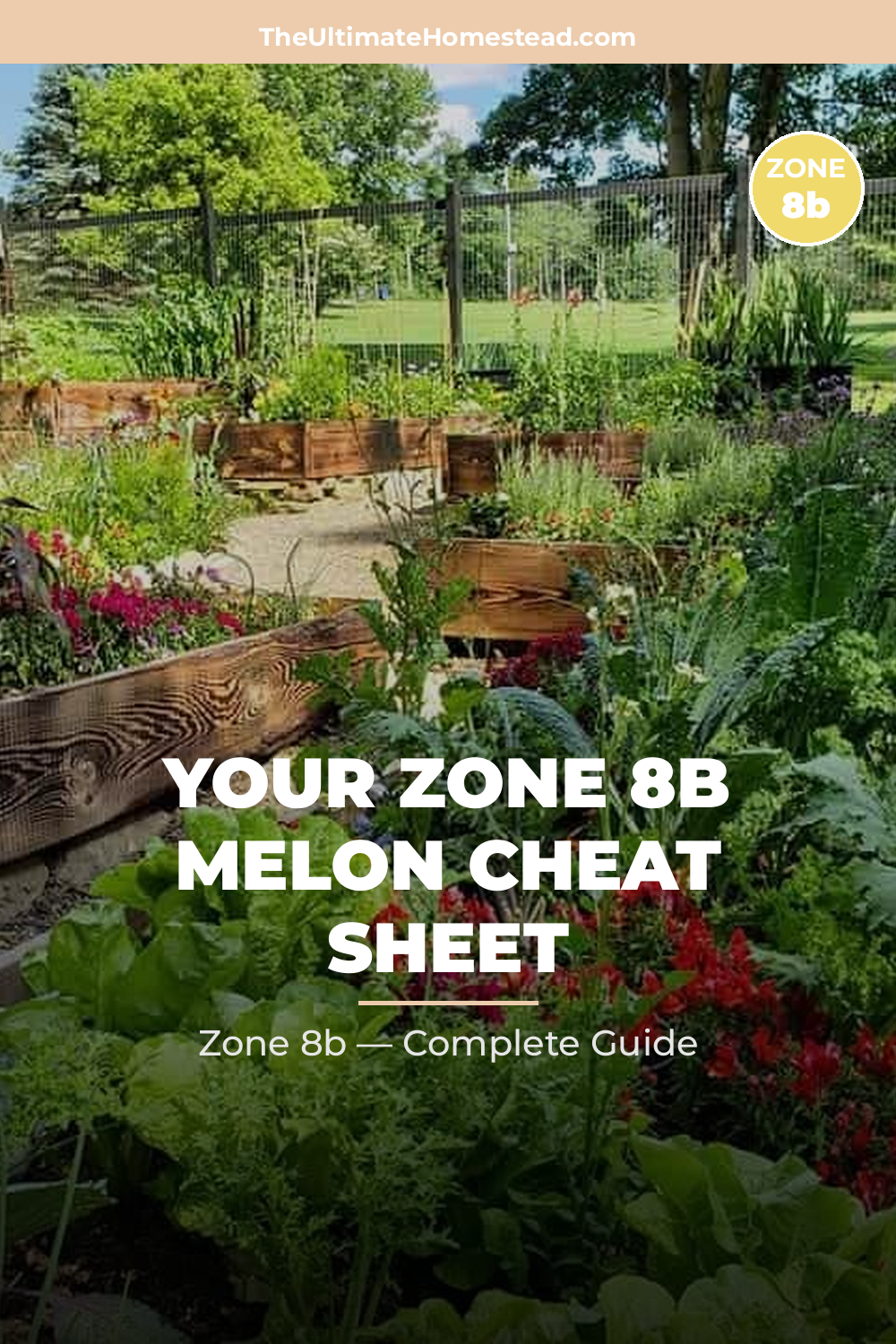 When to Plant Melon in Zone 8b
