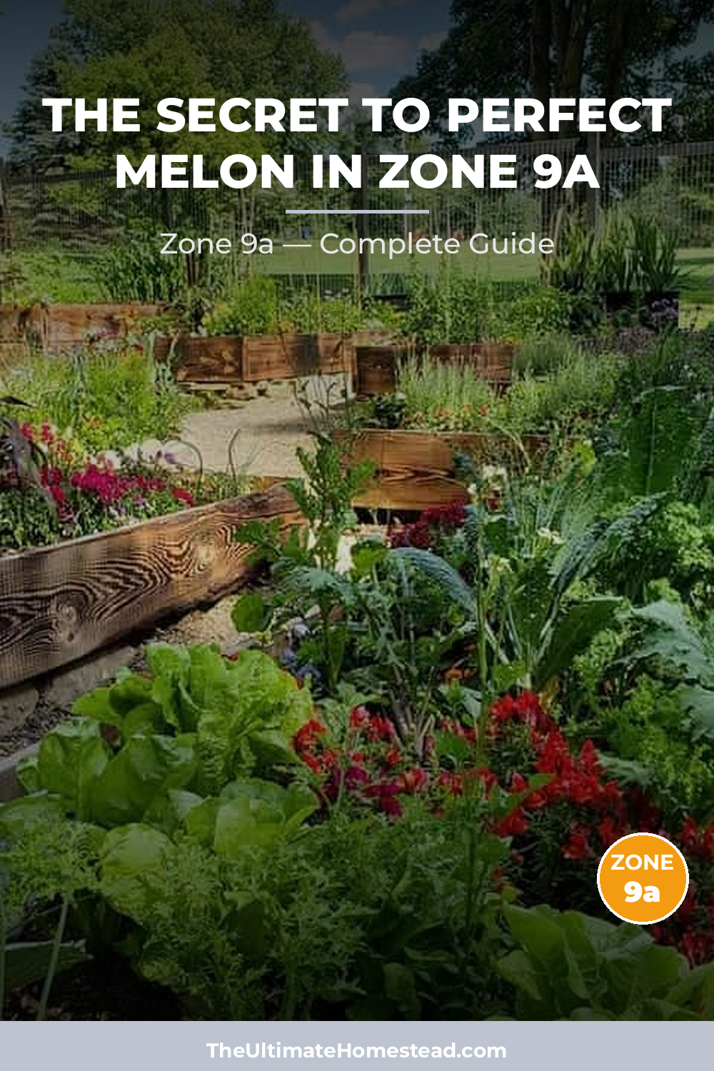 When to Plant Melon in Zone 9a