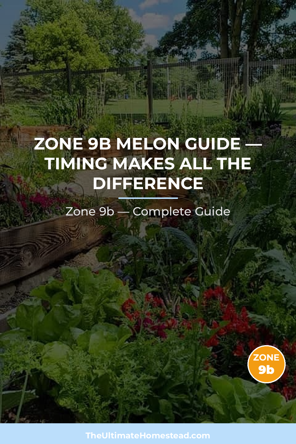 When to Plant Melon in Zone 9b