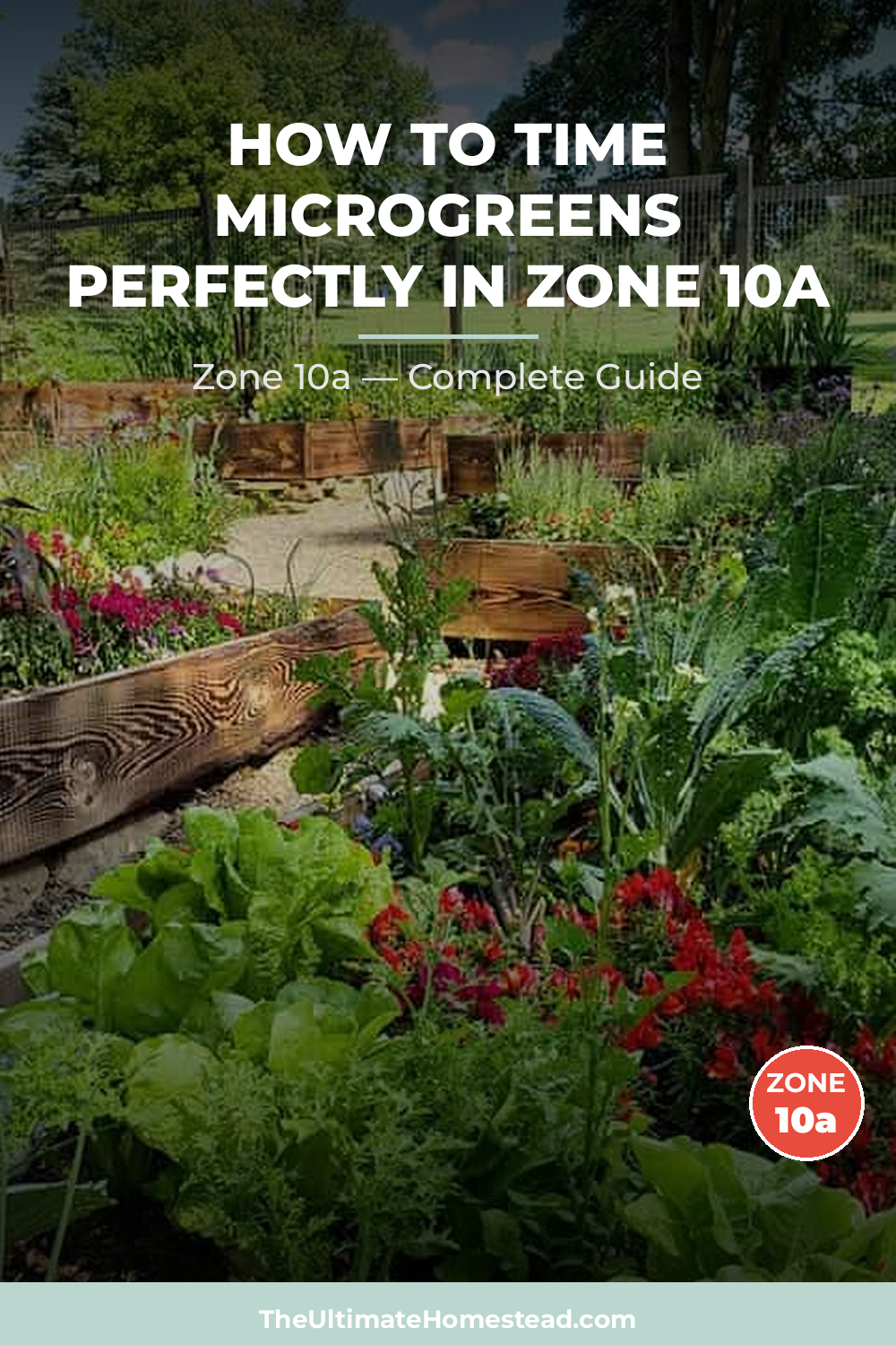When to Plant Microgreens in Zone 10a