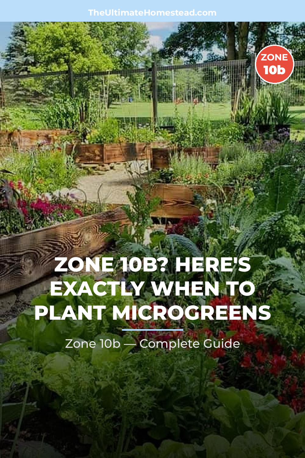 When to Plant Microgreens in Zone 10b