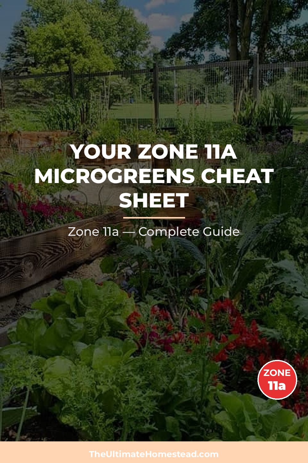 When to Plant Microgreens in Zone 11a