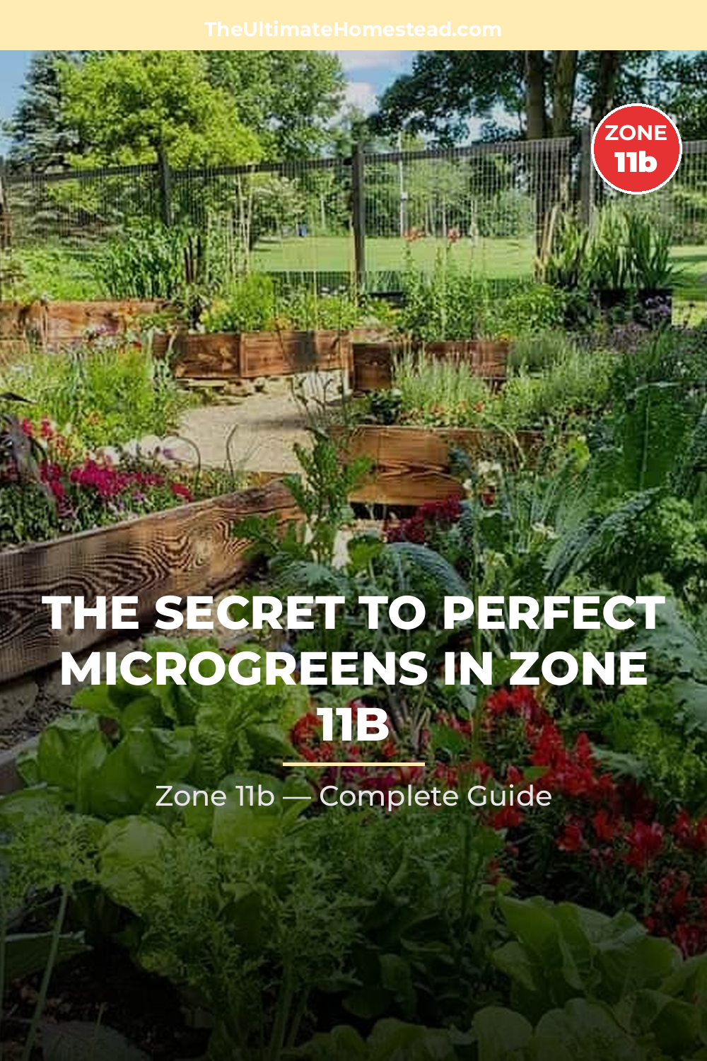 When to Plant Microgreens in Zone 11b