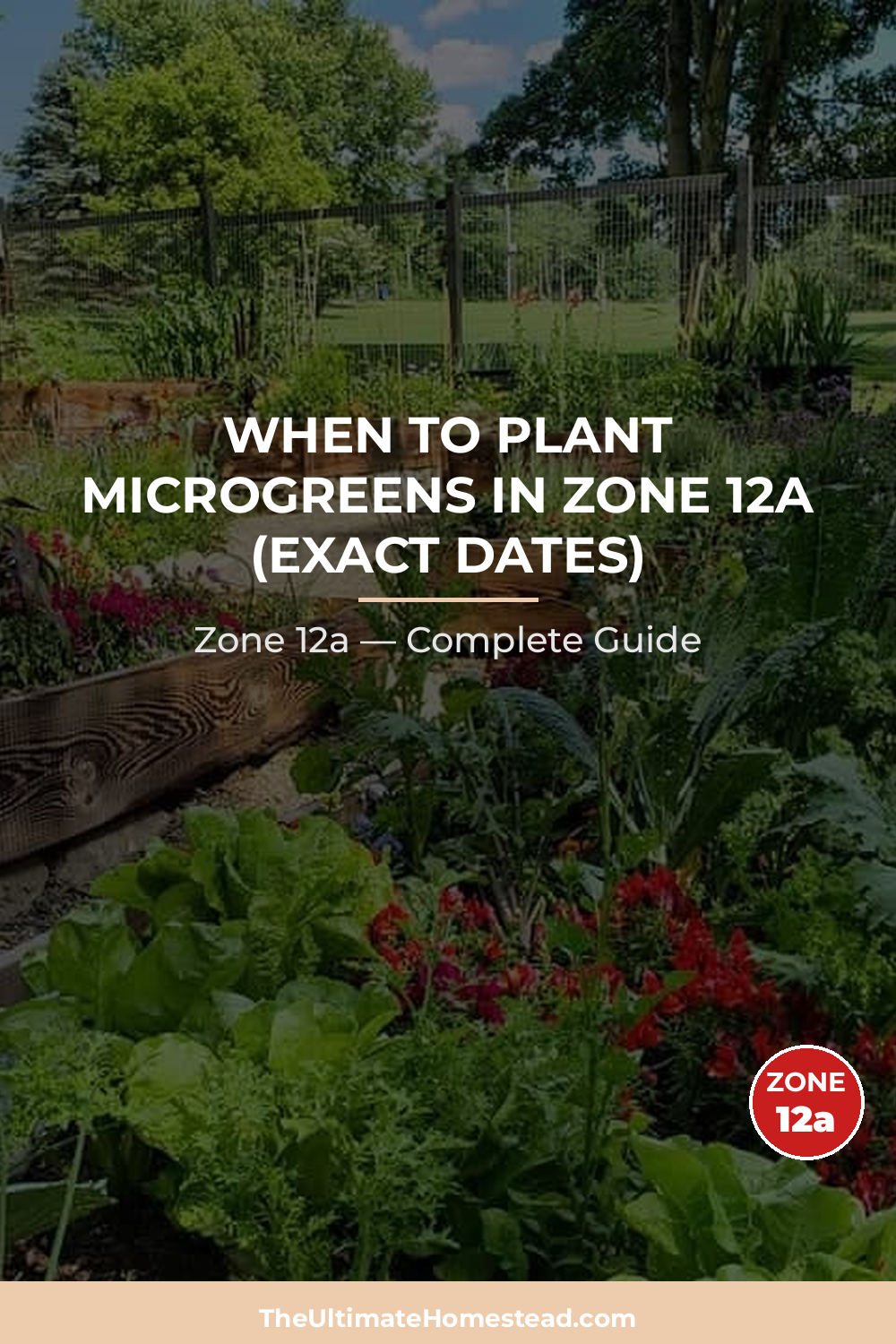 When to Plant Microgreens in Zone 12a
