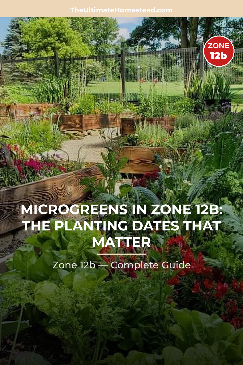 When to Plant Microgreens in Zone 12b