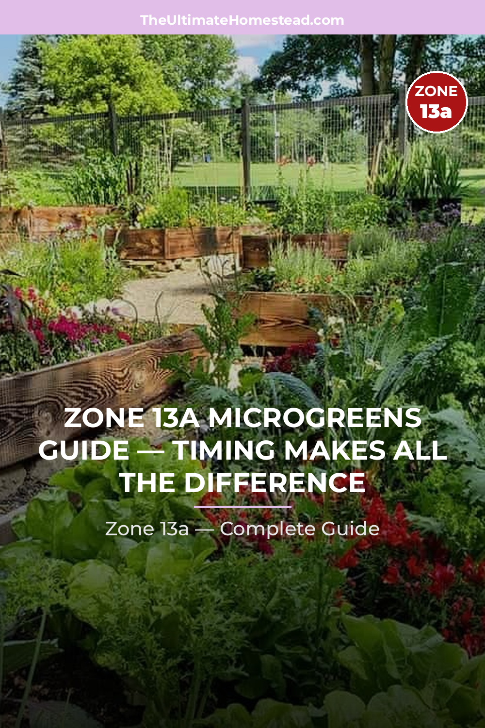 When to Plant Microgreens in Zone 13a