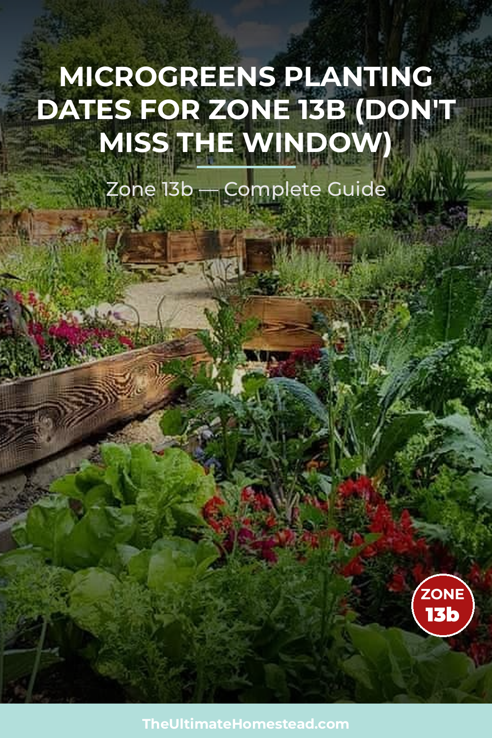 When to Plant Microgreens in Zone 13b