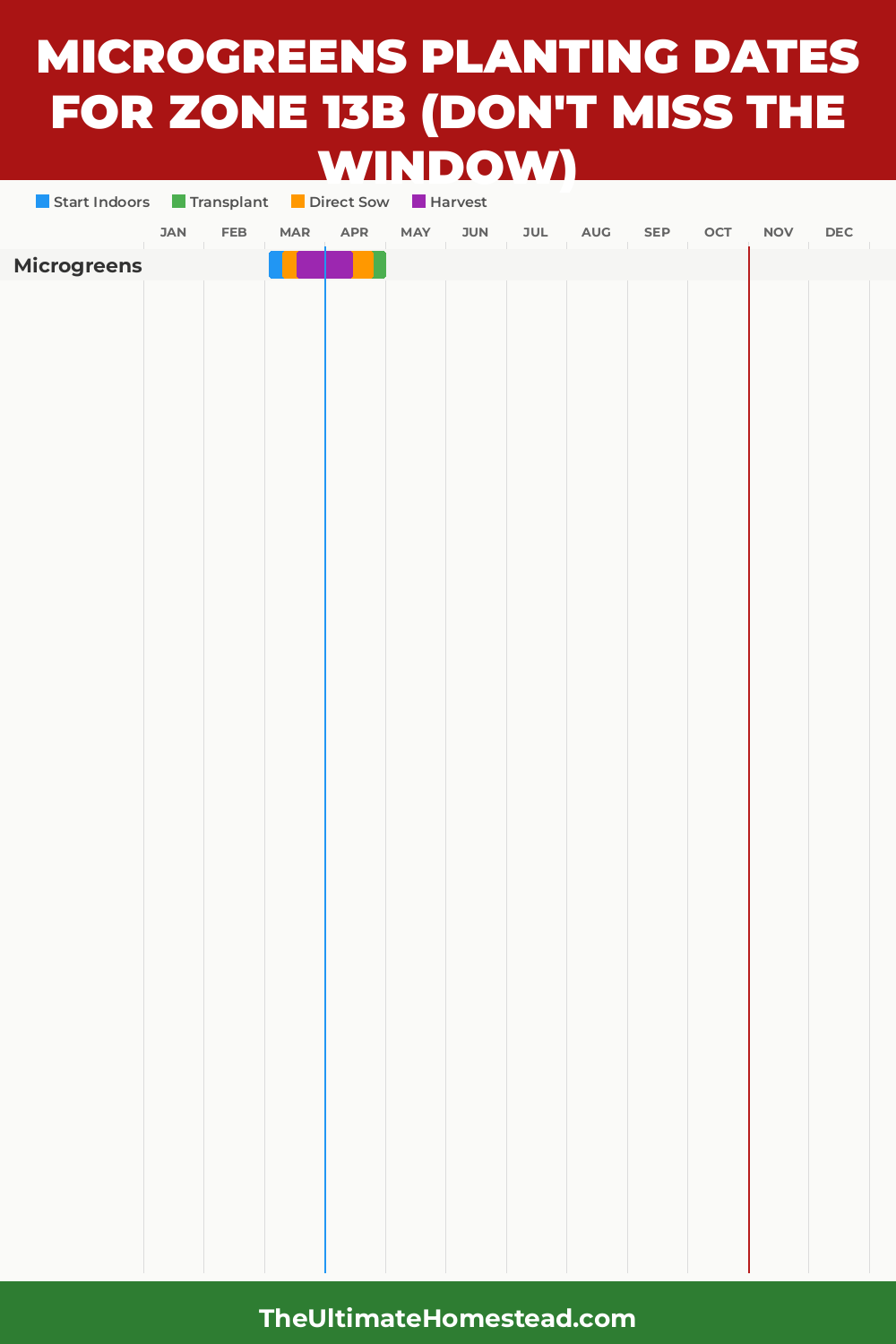 When to Plant Microgreens in Zone 13b