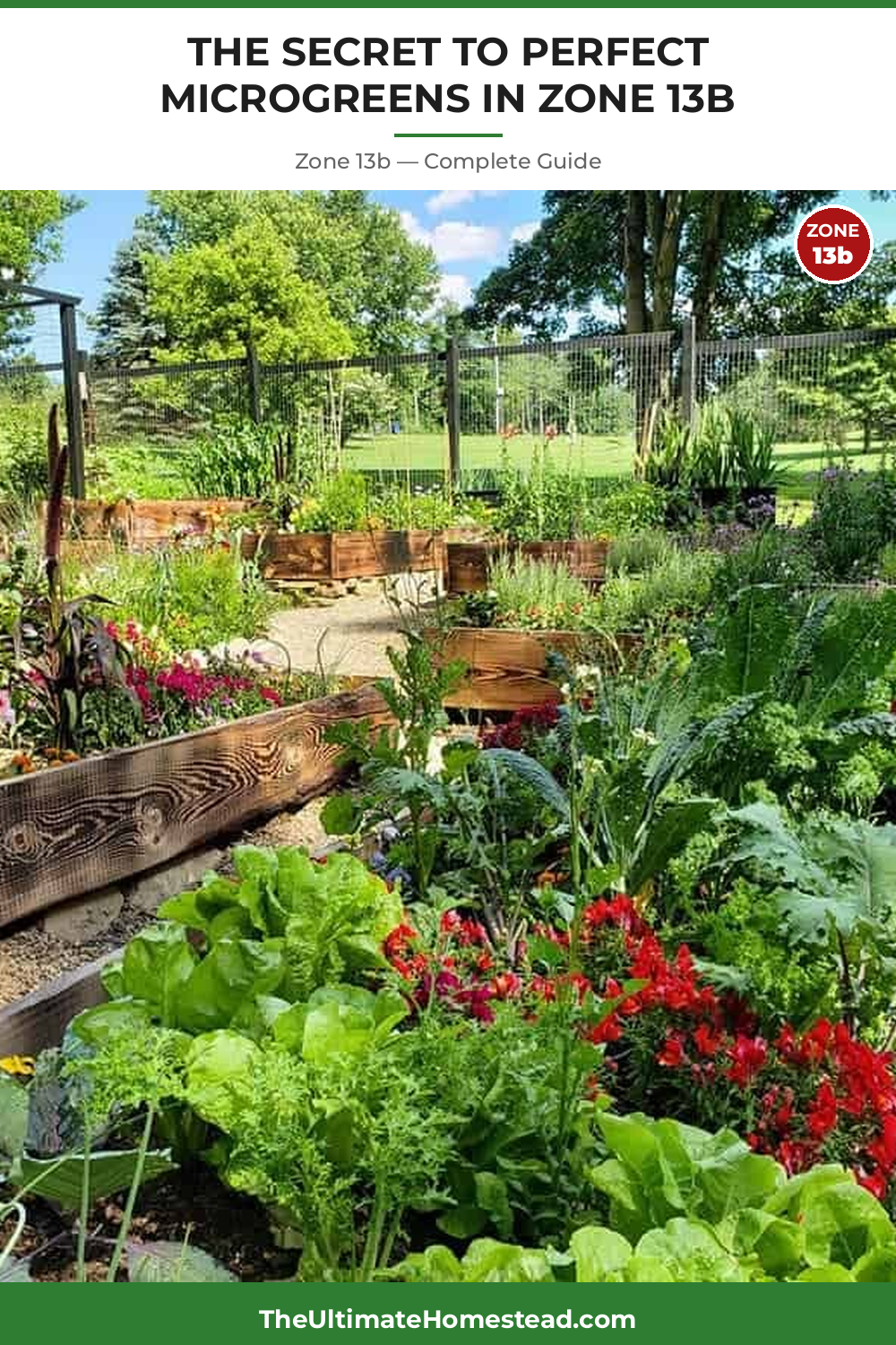 When to Plant Microgreens in Zone 13b