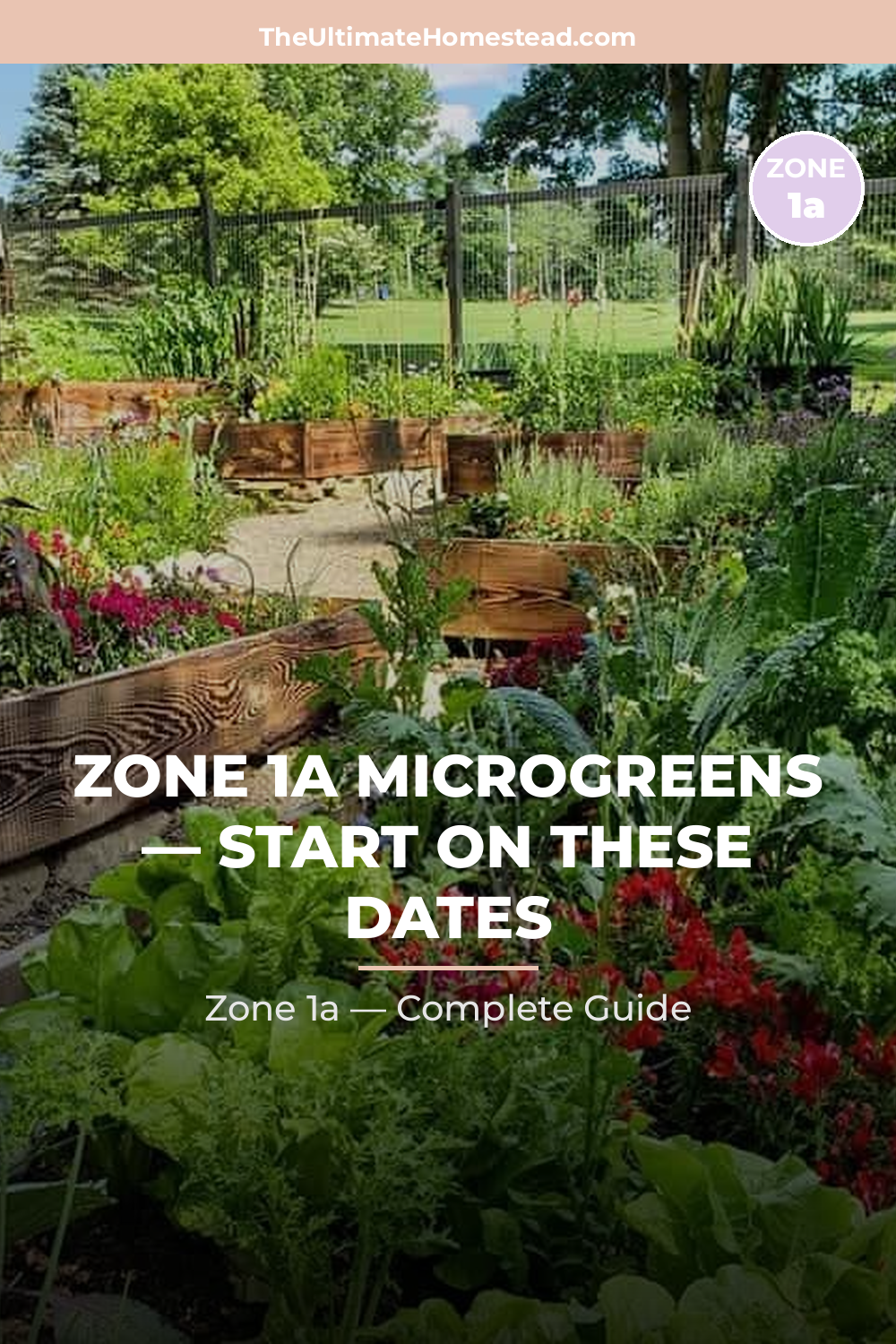 When to Plant Microgreens in Zone 1a