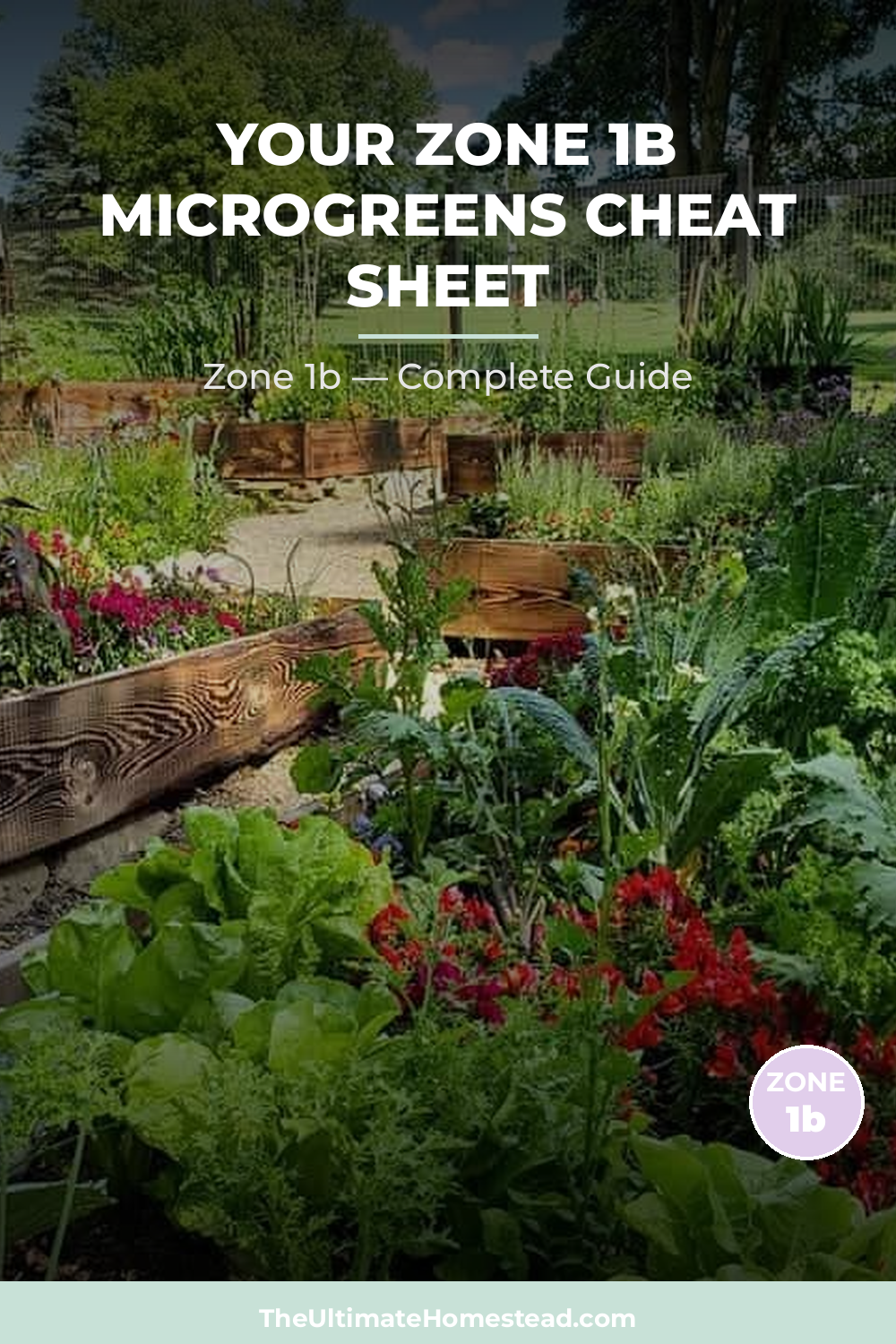 When to Plant Microgreens in Zone 1b