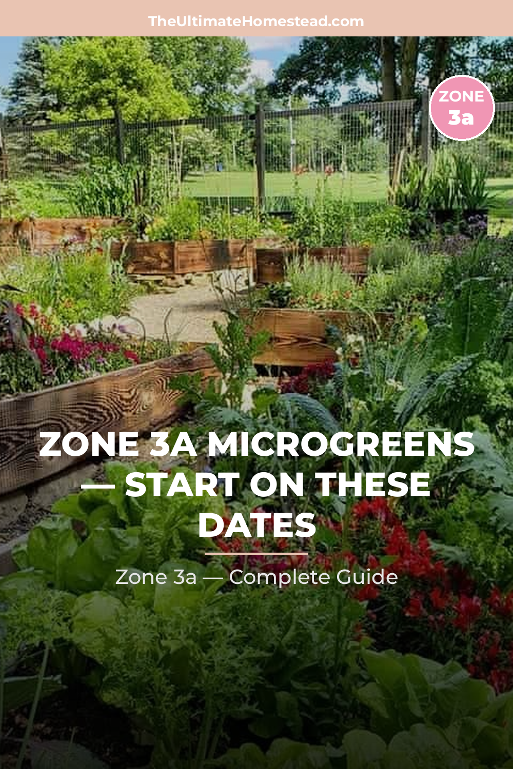 When to Plant Microgreens in Zone 3a