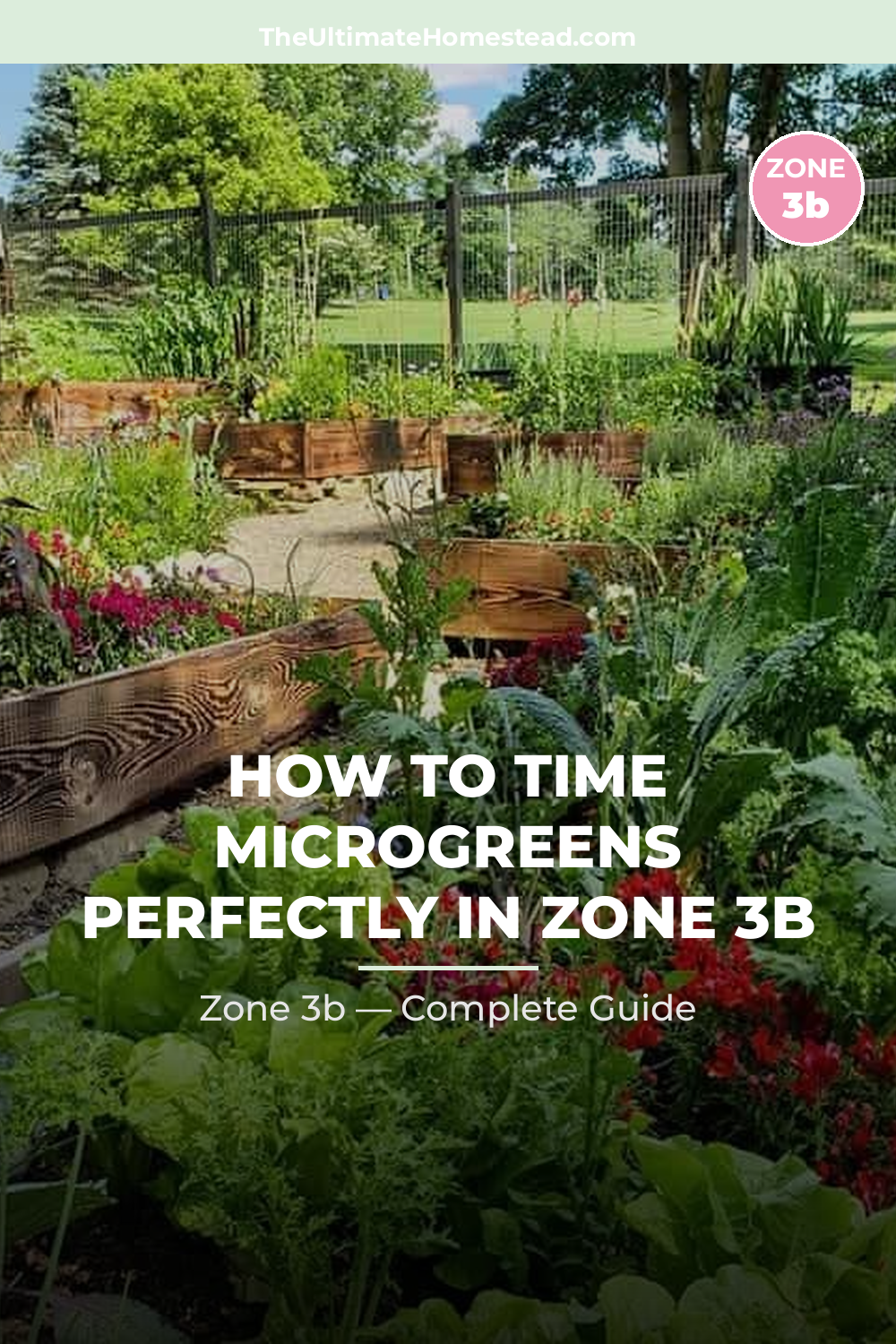When to Plant Microgreens in Zone 3b