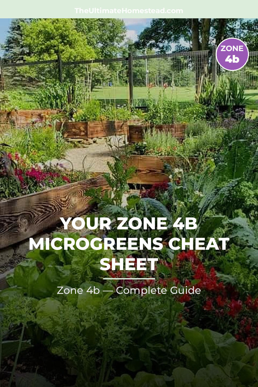 When to Plant Microgreens in Zone 4b
