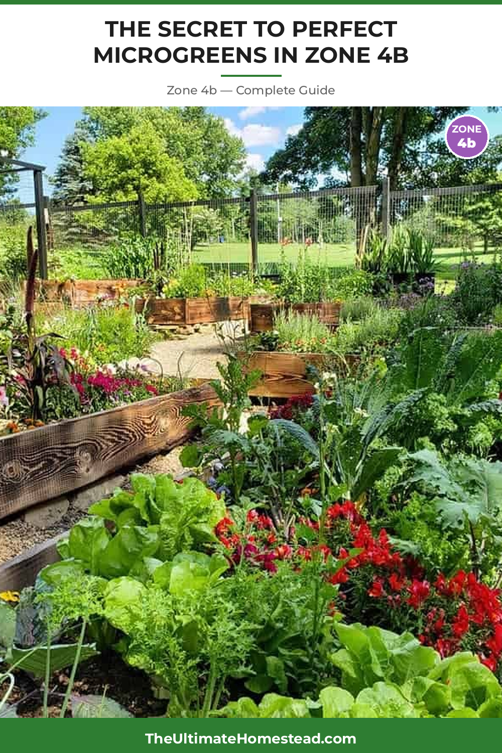 When to Plant Microgreens in Zone 4b