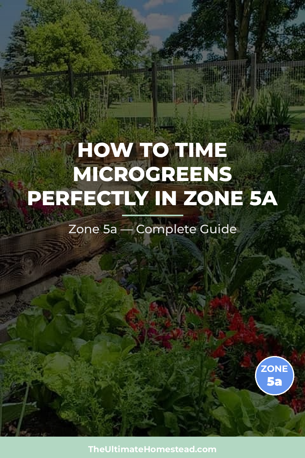 When to Plant Microgreens in Zone 5a