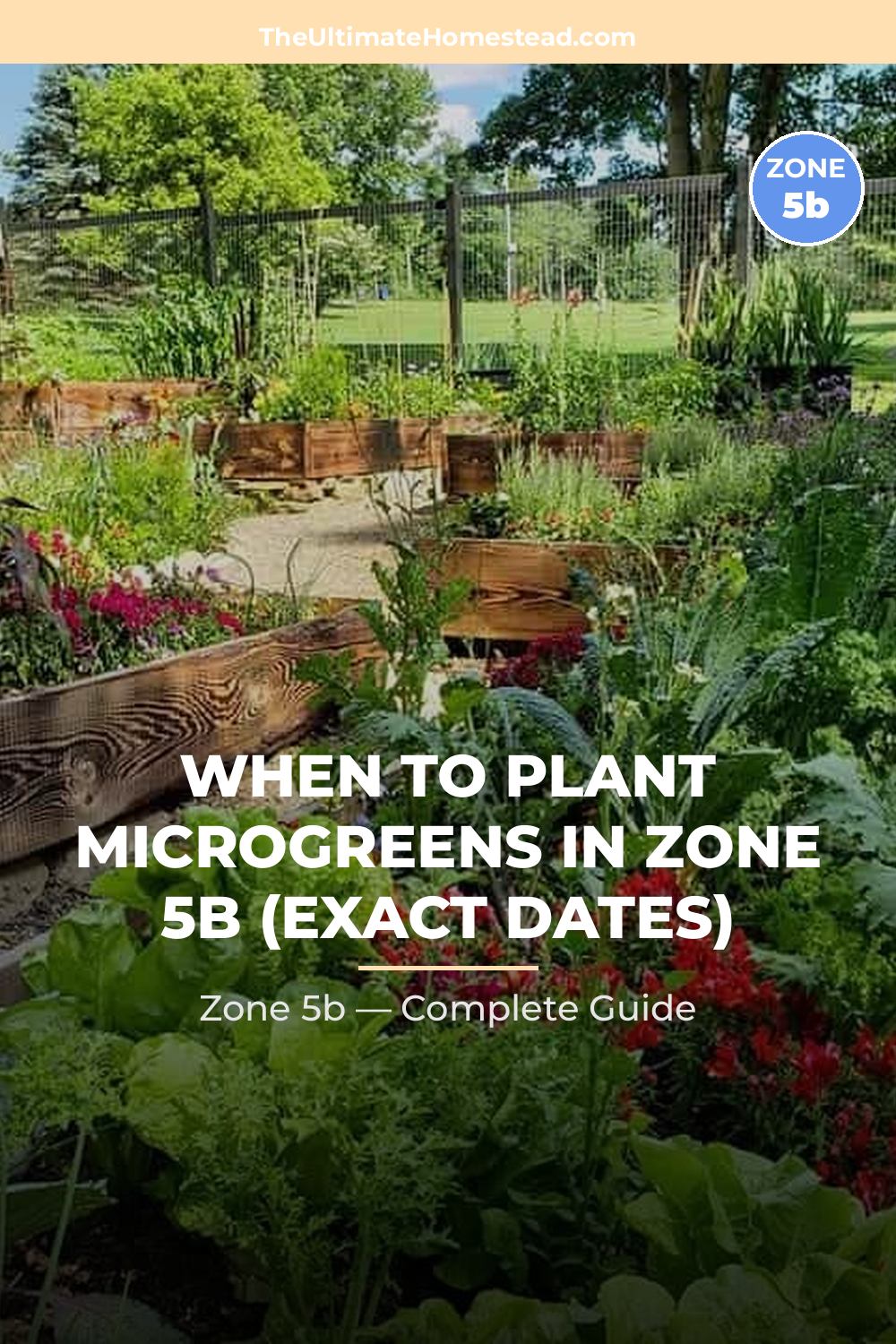 When to Plant Microgreens in Zone 5b